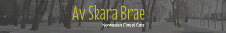 Chatterie av Skara Brae