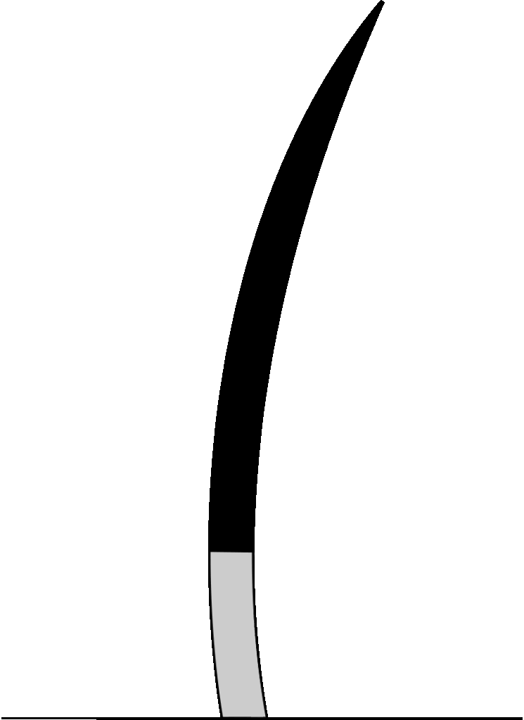 Rauchhaar (smoke)