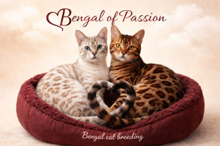 bengalofpassion.com