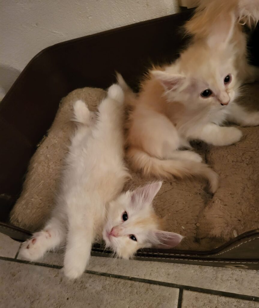 Nori & Nigel