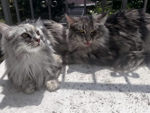 Jupiter & Jana
