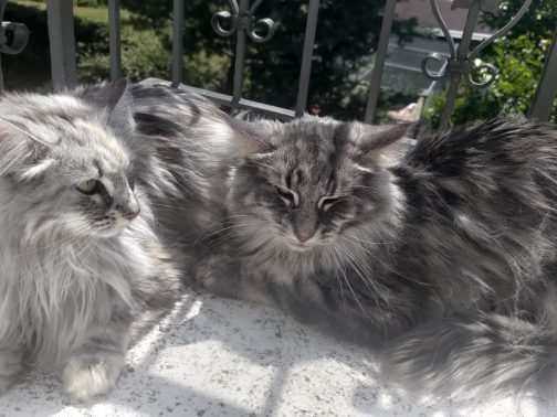 Jupiter & Jana