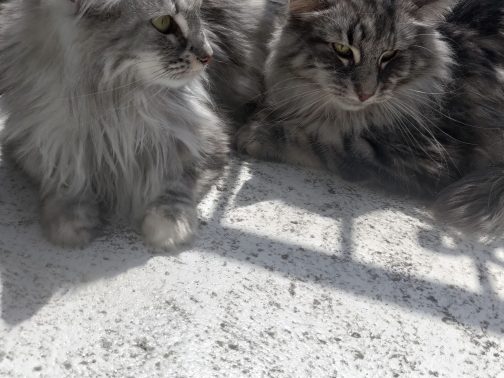 Jupiter & Jana
