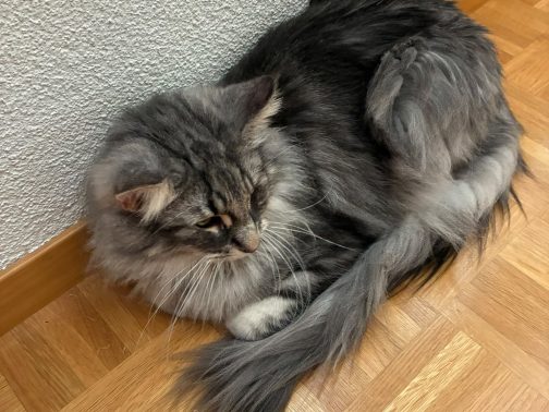 Jupiter